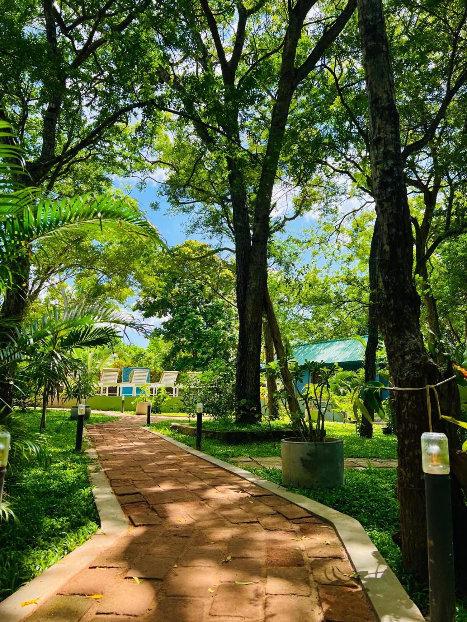 Maritime Nest Cabanas Tangalle Dış mekan fotoğraf