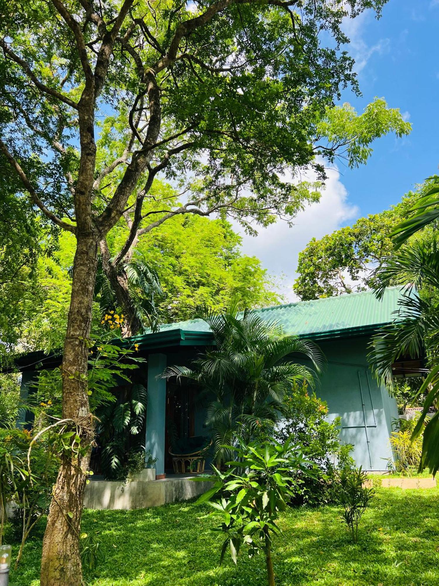 Maritime Nest Cabanas Tangalle Dış mekan fotoğraf